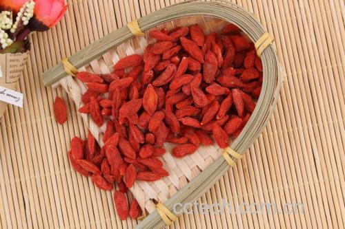 野菊花与枸杞子干品特写