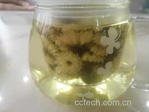 步骤分解摄影:昆仑雪菊胎菊标准冲泡流程——85℃热水注入、花蕾初沉、3分钟部分舒展、10分钟完全绽放,汤色为透亮浅琥珀色(非黄色),杯底有特征性银白绒毛沉淀,体现原料纯净度与工艺精准性 昆仑雪菊胎菊冲泡过程图解:85℃热水注入玻璃盖碗,青白花蕾缓慢舒展,汤色呈清亮浅琥珀色,杯底可见细微绒毛沉淀