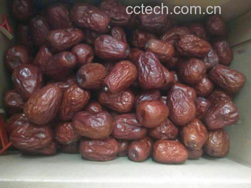 新鲜骏枣特写展示其饱满果形与鲜亮色泽 新鲜骏枣特写