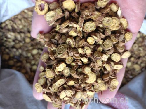 一名身穿白大褂的技术人员正在实验室操作台上用玻璃棒搅拌黄芩片与黄酒的混合物;旁边放置着电子天平、量杯、炒药锅和温度计,展示标准化炮制流程 酒黄芩炮制过程示意图
