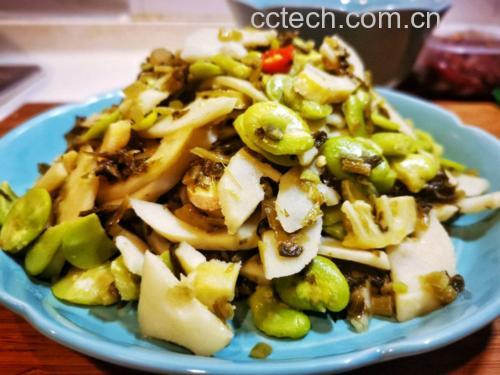 鲜笋蚕豆烩成品摆盘特写:突出蚕豆仁饱满圆润、色泽清亮翠绿,笋片半透明柔韧,红椒丝增色提味,整体呈现春季时令食材的鲜活质感与健康配色 春季时令菜摆盘:青瓷盘中盛放鲜笋蚕豆烩,翠绿蚕豆与乳白笋片相间,点缀红椒丝与嫩葱花,热气氤氲,呈现明快鲜亮的春日餐桌美学