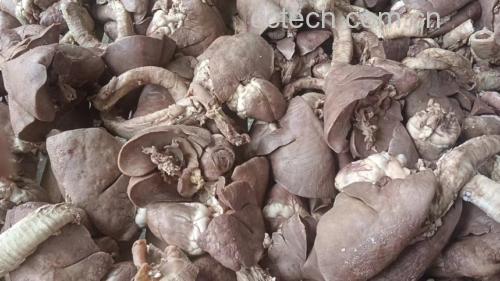 展示一位康复期病人在医生指导下查看健康食谱 术后饮食建议