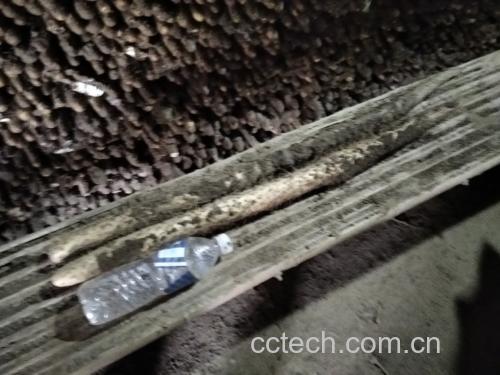 蒸制过程实拍:展示水开后放入山药棍的蒸锅场景,突出蒸汽升腾的状态 不锈钢蒸锅正在冒白色蒸汽,锅盖半开,露出里面整齐排列的山药棍,色泽微黄有光泽