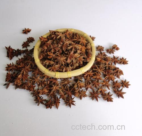 调配好的蘸料碗特写图 调配好的蘸料碗特写图