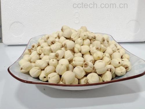一碗白色浓稠的莲子浆,旁边摆放着莲子原料 莲子浆成品图