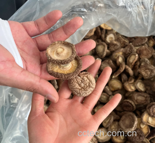 展示干香菇的实物图片,背景为木质桌面,旁边摆放一碗清水用于泡发 干香菇实物图