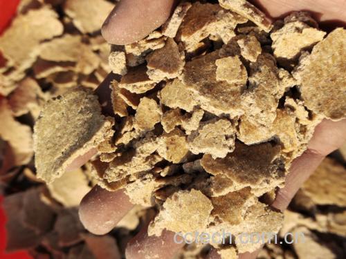 展示大豆中蛋白质、脂肪与碳水化合物比例的营养成分饼状图 大豆营养成分结构图