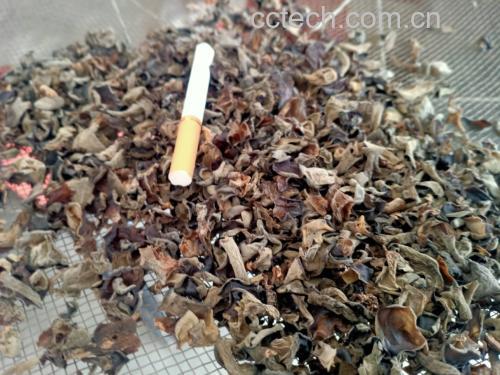 发好的黑木耳沥干水分