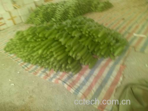 苦瓜与黄瓜正在被放入榨汁机中,旁边摆放着玻璃杯和调味品,展示制作全过程 苦瓜黄瓜榨汁过程示意图
