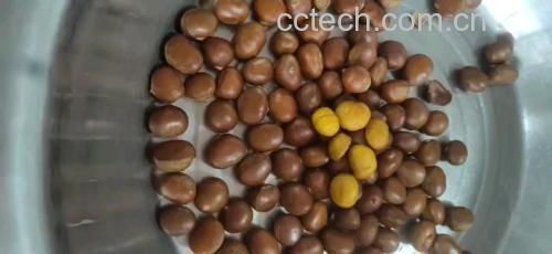 冰栗子装盘图,展示剥壳后的晶莹栗仁,色泽洁白,排列整齐 冰栗子成品图