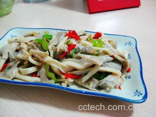 一盘清炒平菇配青椒,色泽清亮,菌片完整卷曲,油光适度,旁边搭配一碗白米饭,体现家常健康的饮食场景 平菇菜肴摆盘