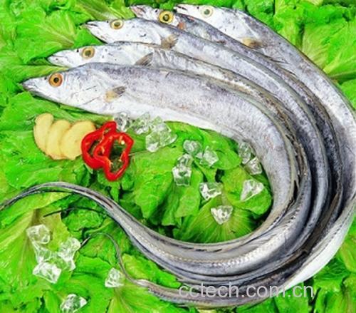 煎带鱼过程中油面特写