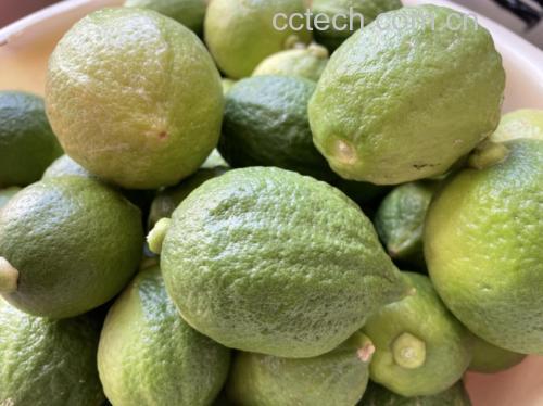 一碗清凉的绿豆汤中加入几片新鲜柠檬,色泽清新,散发淡淡果香 绿豆汤加柠檬成品图