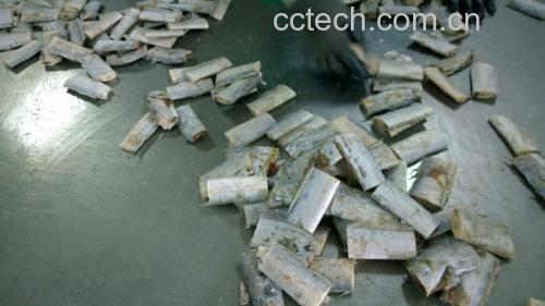 展示新鲜带鱼在清洗、腌制及煎炸后的不同状态,体现其加工过程 带鱼烹饪前后对比图