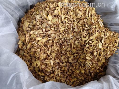 一个标准铝箔板装的黄芩颗粒药品,每包含4克棕色颗粒粉末;旁边是一杯正在冲泡的黄芩颗粒饮品,热水倒入后呈现清澈的浅黄色液体,杯旁放置药盒说明书 黄芩颗粒药品包装与冲泡过程示意