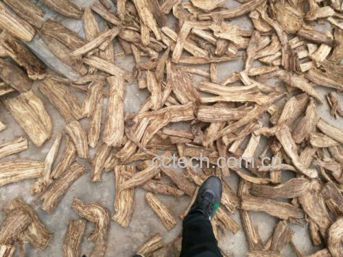 干燥的黄芩根药材特写图,展示其表面纹理和切片形态 黄芩药材图