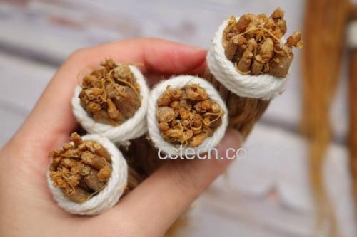 显微镜下展示的人参肽分子三维结构模型,背景为蓝色神经元网络,突出其穿越血脑屏障的能力,图中配有标注:小分子肽、GABA受体结合位点、HPA轴调控路径 人参肽分子结构示意图