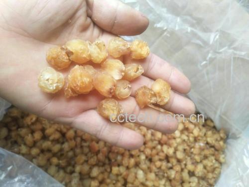 桂圆山楂茶成品图