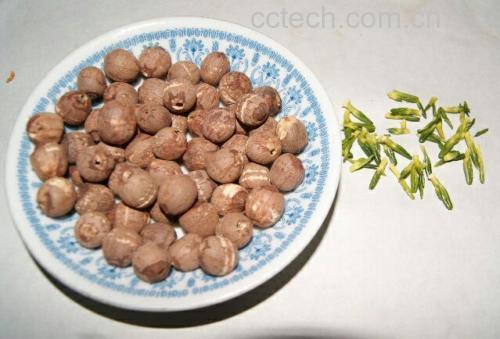 图片说明:展示红莲用于煲汤的烹饪过程,体现其药膳用途 红莲煲汤场景图