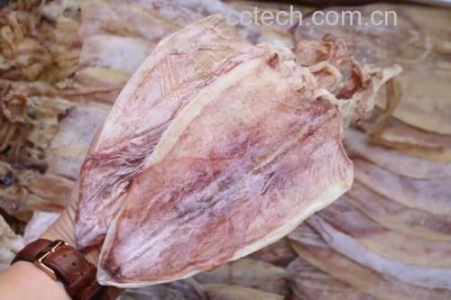 展示干鱿鱼泡发前后的状态变化,左侧为干燥状态,右侧为泡发后柔韧状态 干鱿鱼泡发前后对比图