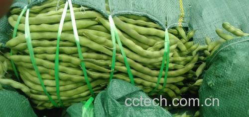 新鲜牛肉切片与青翠毛豆并列摆放,突出食材本色与新鲜度 牛肉与毛豆原材料图