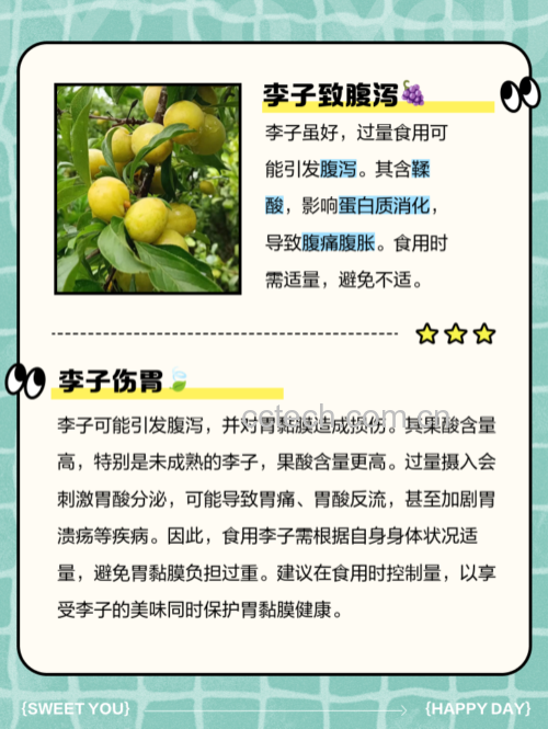 信息图表展示李子的主要营养成分:每100克含热量36kcal、碳水化合物8.8g、膳食纤维1.0g(标注果胶为主要成分)、维生素C6mg、钾130mg,配以李子剖面插画与分子结构简图示意果胶链 李子营养成分信息图