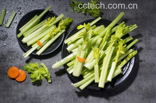 高清摆盘图:蒸芹菜叶色泽如新采,叶形完整挺括,芝麻与枸杞形成色彩对比,突出‘即食清香’与‘百搭属性’,背景虚化呈现厨房台面质感 芹菜叶成品摆盘:翠绿蒸芹菜叶盛于青釉瓷碟中,撒有金黄熟芝麻与红润枸杞,旁边配一小碟香醋与迷你捣蒜器