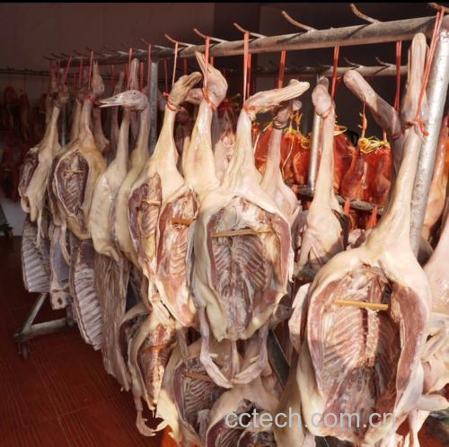 鹅肉炖萝卜成品图,汤汁浓郁,萝卜软糯,鹅肉酥烂 鹅肉炖萝卜成品图