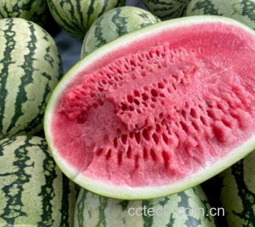 特小凤黄心西瓜果肉细节图