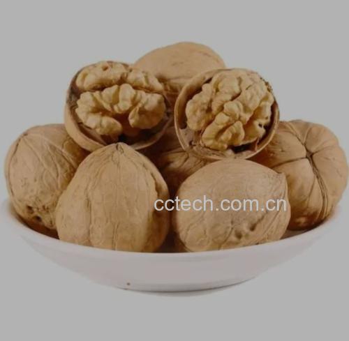 示意图展示核桃成分对血管和心脏的保护作用,包括降低胆固醇、改善血流等 核桃与心血管健康示意图