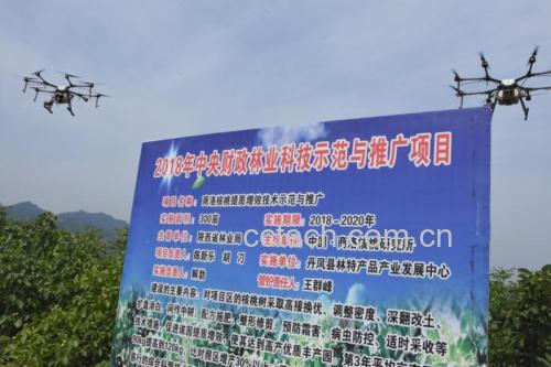 中国林科院经济林所实验室场景:采用GC-FID法精准测定10月初采收核桃中α-亚麻酸含量,确保营养数据可溯源 专业实验室中科研人员正用气相色谱仪检测核桃油样,屏幕上显示清晰的α-亚麻酸(ALA)峰图,操作台摆放着标注“2024.10.03采样”的核桃仁样品瓶