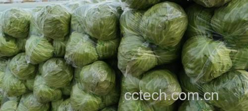 展示仔甘蓝清洗前后的对比,清晰可见清洗后的干净状态 仔甘蓝清洗过程