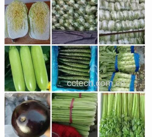 展示菠菜与茄子主要营养成分的柱状图 菠菜与茄子的营养成分对比图