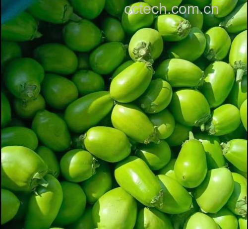 展示一道由菠菜、茄子和豆腐制作而成的家常炖菜成品图 菠菜茄子炖豆腐成品图