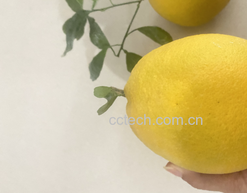 一杯新鲜橙汁与牛奶混合饮品,背景为橙子和牛奶瓶 橙汁牛奶饮品示意图