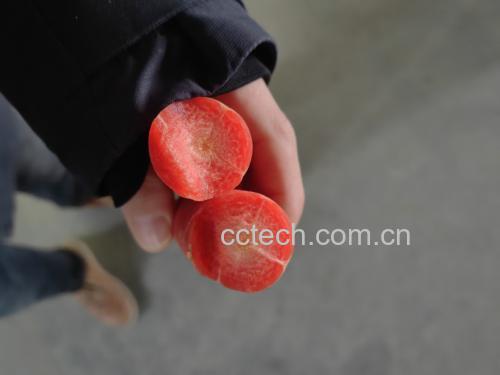 展示胡萝卜切片及其在胃肠道中的分解过程 胡萝卜切片与消化过程示意图