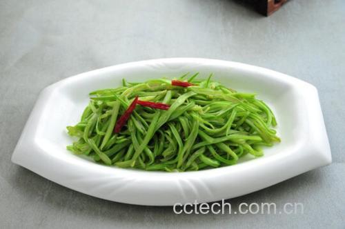 一盘刚出锅的炒豆角丝盛放在白色瓷盘中,豆角呈细长丝状,翠绿油亮,伴有金黄色焦边和几片蒜片,旁边搭配一小块柠檬作为点缀,整体呈现健康、清淡、诱人的家常菜肴风格 成品炒豆角丝 dish