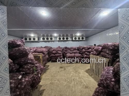 展示紫皮洋葱在阴凉通风环境中储存的示意图,周围环境干燥整洁 紫皮洋葱储存示意图