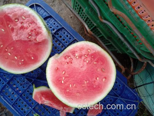 透析病人在家中用餐场景