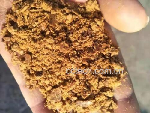 果酸玉米与老坛玉米样品对比特写