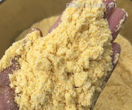 展示玉米的营养成分图表,包括膳食纤维、维生素A、B族维生素、叶黄素等关键营养素含量 玉米营养价值图解