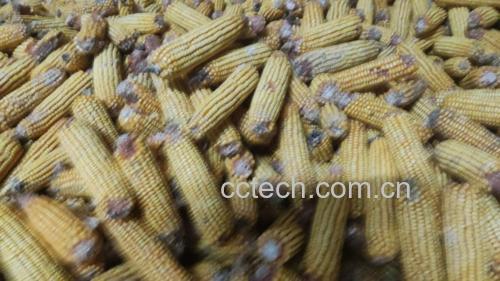 一盘金黄色的玉米空心棒成品,整齐排列,撒有芝麻和辣椒粉 成品玉米空心棒摆盘图