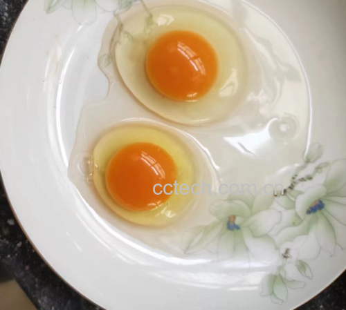 成品图:白菜炒鸡蛋装盘 成品图:白菜炒鸡蛋装盘