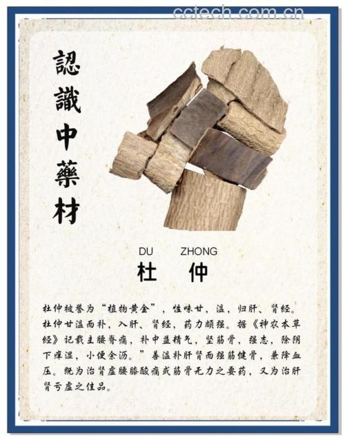 杜仲功效与作用原料介绍适宜人群食用指导食材文化