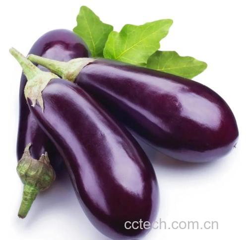 鱼香茄子家常做法大全