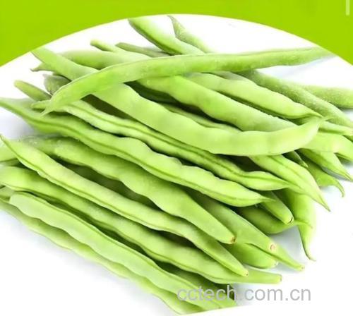 四季豆用冷水焯还是热水焯？营养美食专家教你正确处理四季豆的方法