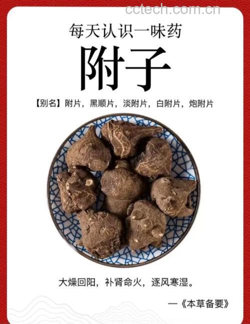 附子粥的功效有哪些呢