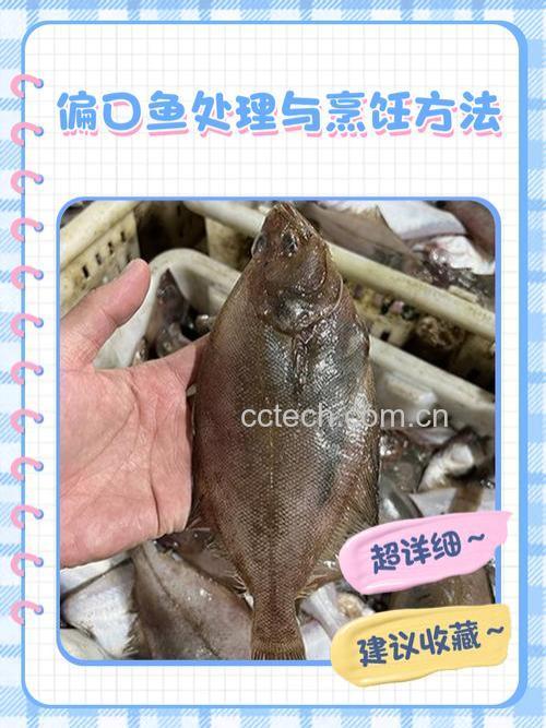 红烧偏口鱼怎样做好吃 红烧偏口鱼的材料和做法步骤