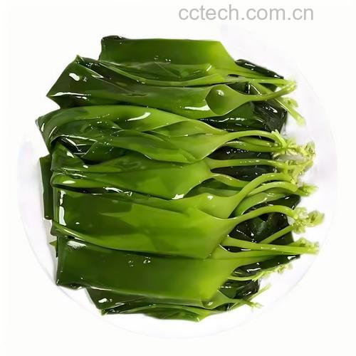 海带的营养价值 海带怎么吃好