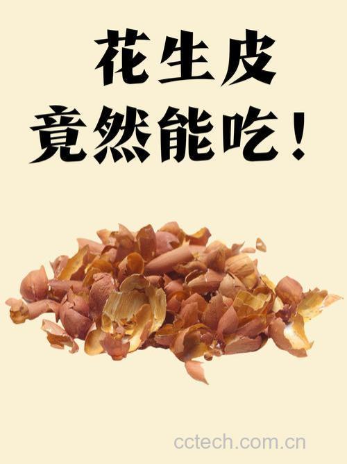 花生皮的功效与作用